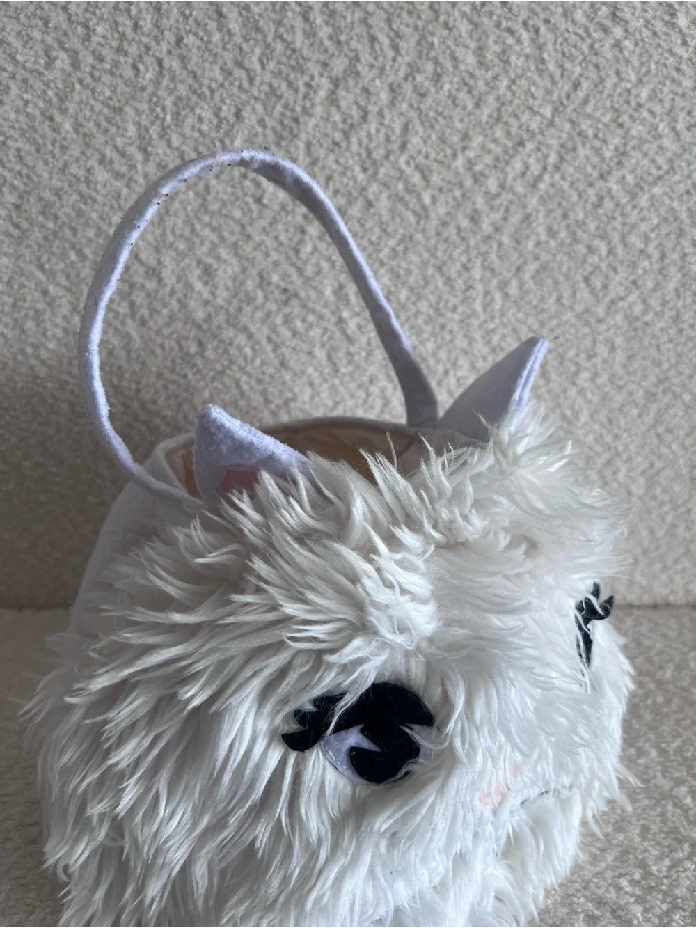 Pottery Barn Kids Cat Faux Fur Trick Or Treat White Basket Halloween